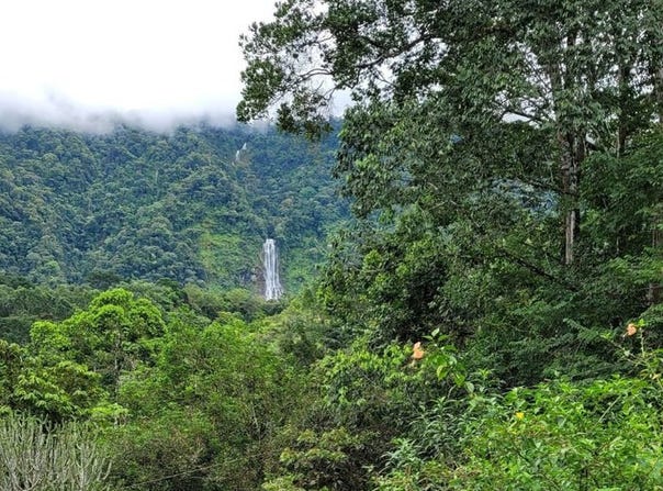Private Estate with Breathtaking Diamante WaterfallPrivate Estate with Breathtaking Diamante Waterfall Tinamastes, San Isidro-Perez Zeledon, San Jose, Costa Rica, Barð, San José
