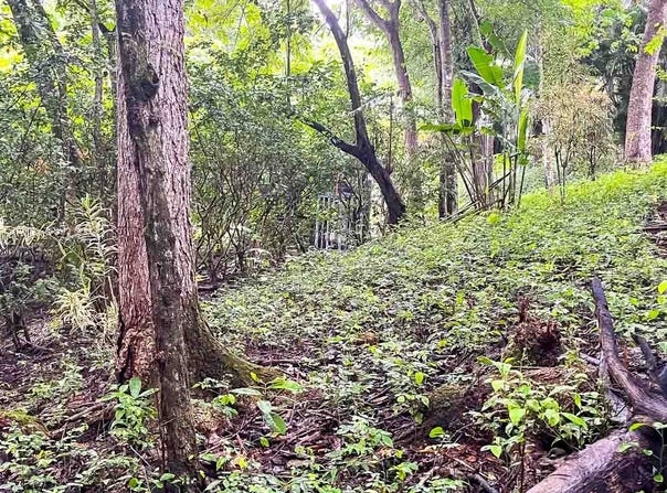 Prime Commercial Lot Just Minutes from Manzanillo Beach - Manzanillo, Santa Teresa, Puntarenas Province