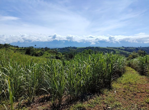 Cajon, Perez Zeledon, Costa Rica, Pérez Zeledón, San José, Pérez Zeledón, San José