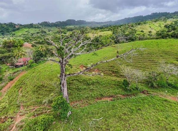 VX5C+QGC , Limoncito, Coto Brus, Puntarenas, Coto Brus, Puntarenas