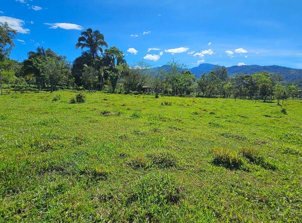 Permaculture Lot 2, Santa Elena, Puntarenas Province 11902