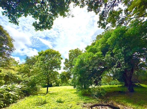 Brasil de Santa Ana, Santa Ana, San José, Santa Ana, San José