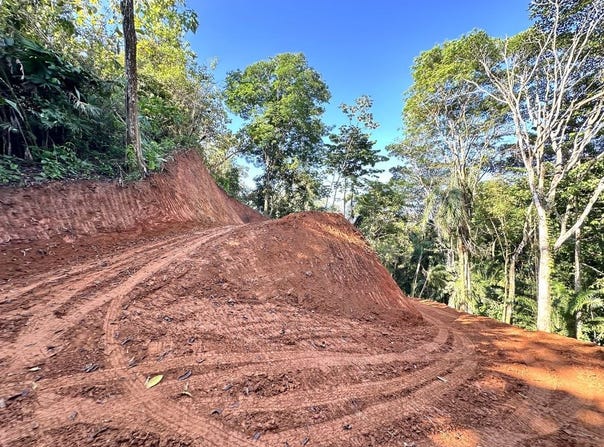 Solo Ceibo, Matapalo, Quepos, Aguirre, Puntarenas, Aguirre, Puntarenas