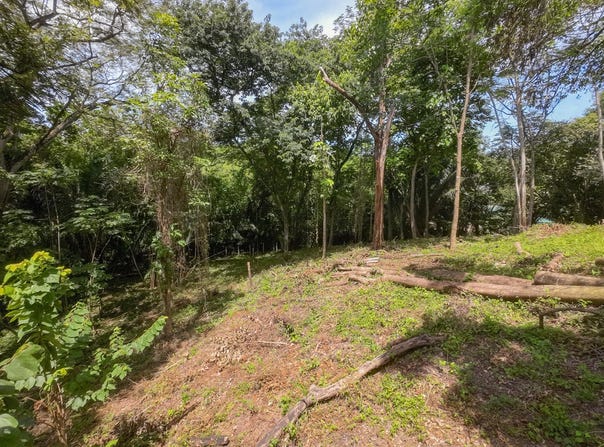 X85J+P9G, Guanacaste Province, Nosara, Costa Rica, Nosara, Guanacaste Province