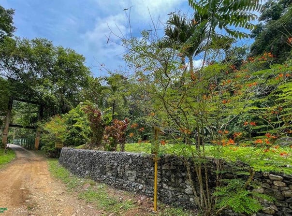 Calle Aguacate 1, Puerto Cortés, Osa, Puntarenas, Osa, Puntarenas