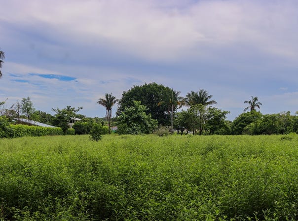X8WG+R7, Provincia de Guanacaste, Santa Cruz, Costa Rica, Santa Cruz, Guanacaste Province