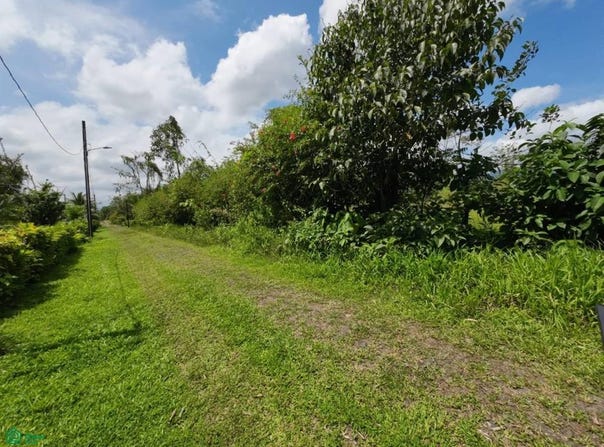 Chachagua - Los Angeles 1, San Ramón, San Ramon, Alajuela, San Ramon, Alajuela 21007
