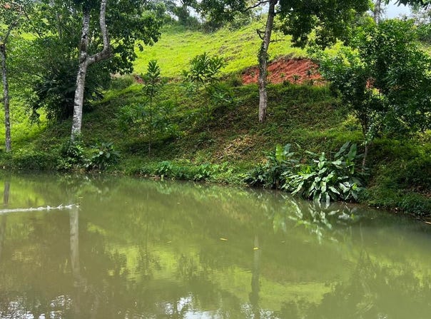 Bijagual, Bijagual, Puntarenas, Bijagual, Puntarenas