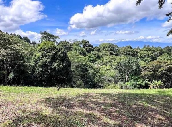 San Juan, Poas, Alajuela, Alajuela
