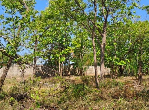 Puntarenas, Puntarenas, Garabito, Bajamar, Guacalillo, Garabito, Puntarenas, Garabito, Puntarenas