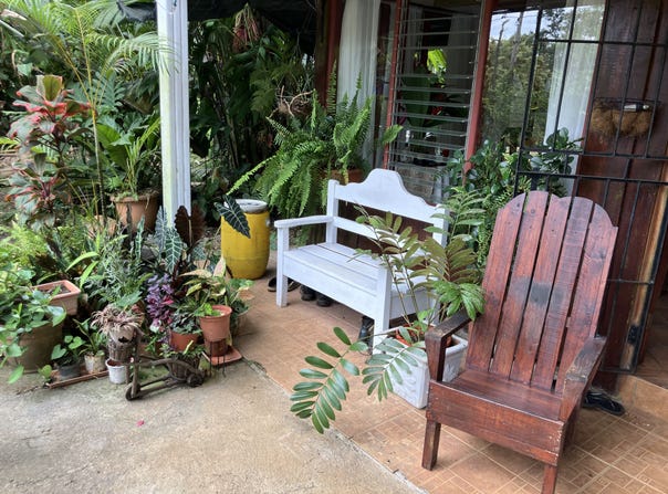 La tigra, San Carlos - La Fortuna, Alajuela, San Carlos - La Fortuna, Alajuela