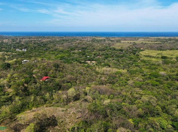 Pura Jungla #26, #27, #28 , Veintisiete de Abril, Santa Cruz, Guanacaste, Santa Cruz, Guanacaste 50303