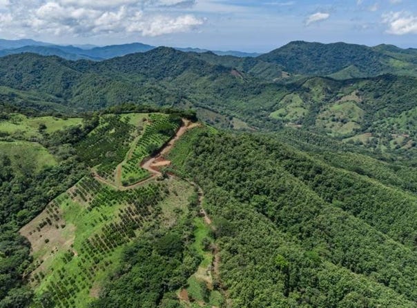 Maquenco Finca Naranja - 7.9 ha Orange Orchard with Views , Belén de Nosarita, Nicoya, Guanacaste, Nicoya, Guanacaste 50207