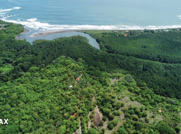 venado guanacaste, Cuajiniquil, Guanacaste, Cuajiniquil, Guanacaste