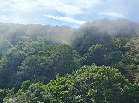 FINCA EN EL CERRO | EL GUARCO: Mountain Agricultural Land For Sale in Cartago, Cartago, Cartago