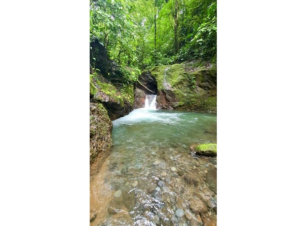 Finca de Bosque La Tigre, San Carlos, Alajuela, San Carlos, Alajuela