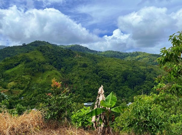 1.4 Ha en Venta, chimirol, Perez Zeledon, Costa Rica.: Mountain Home Construction Site For Sale in San Isidro del General, San Isidro del General, San José