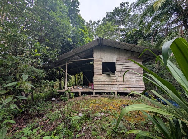 Puerto Jiménez, Puntarenas, Puntarenas, Puntarenas, Puntarenas
