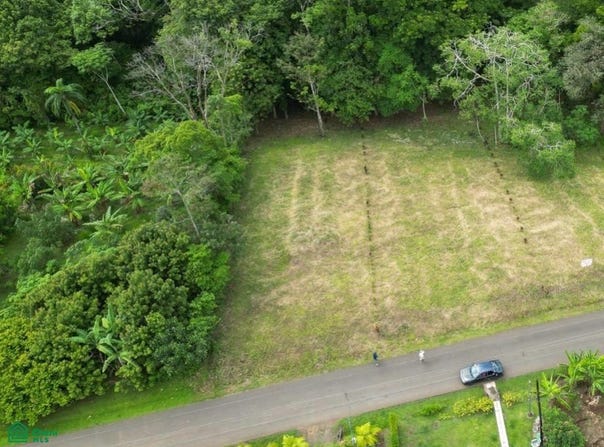Chachagua Los Angeles, Peñas Blancas, San Ramon, Alajuela, San Ramon, Alajuela 21401
