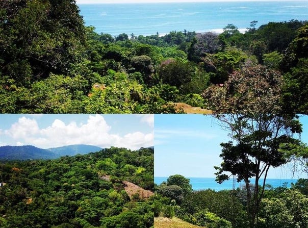 Barrio la colonia , Bahía Ballena, Osa, Puntarenas, Osa, Puntarenas