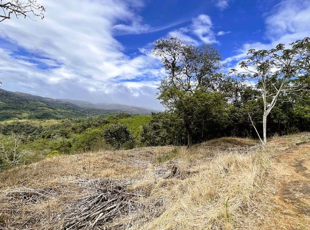 SAN PERDRO, SAN RAMON, San Ramón, Alajuela, San Ramón, Alajuela