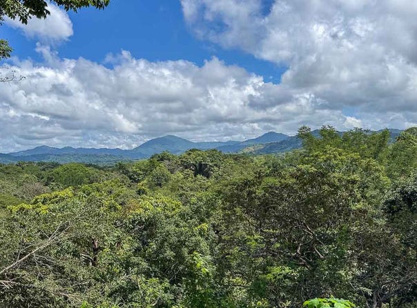 Jungle and Mountain Views Lots in Betel - Manzanillo - Betel,Manzanillo, Santa Teresa, Puntarenas Province