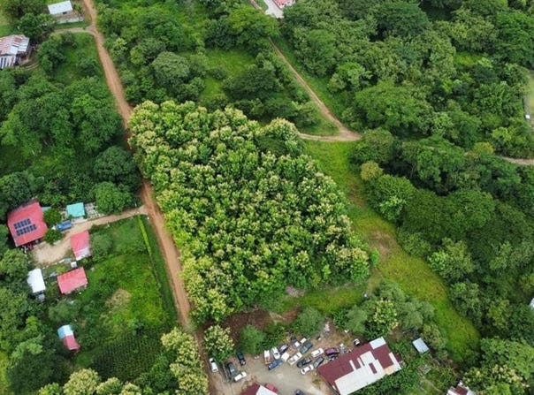 Bosques Don José s/n, Nicoya, Nicoya, Guanacaste, Nicoya, Guanacaste 50201