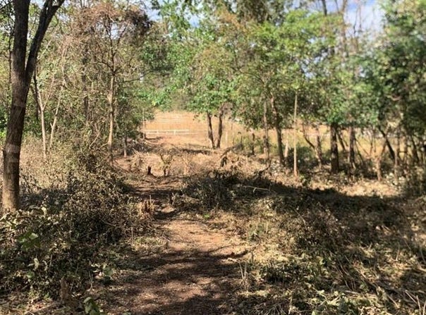 Santa Rosa , Tamarindo, Santa Cruz, Guanacaste, Santa Cruz, Guanacaste 50309