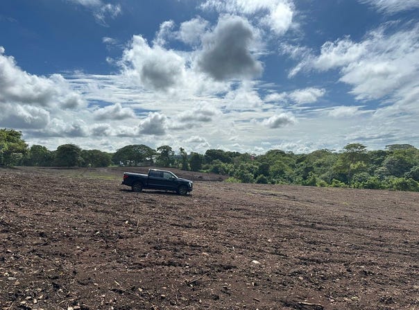 Ceiba. orotina. carretera 27, Orotina, Alajuela, Orotina, Alajuela