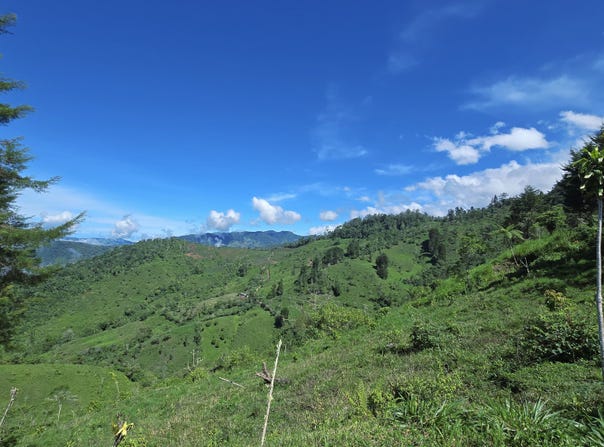 Rivas, Perez Zeledon, Costa Rica, Pérez Zeledón, San José, Pérez Zeledón, San José