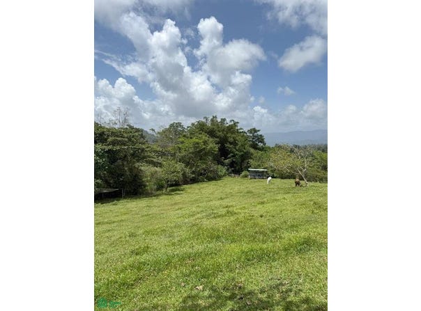 El Sauce s/n, Santa Teresita, Turrialba, Cartago, Turrialba, Cartago 30505