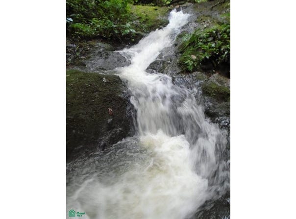 Venecia, San Carlos, Alajuela, San Carlos, Alajuela 21005