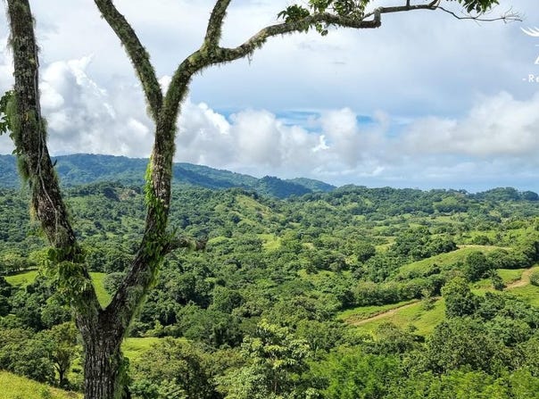 Santa Teresa Beach, Puntarenas Province, Puntarenas Province