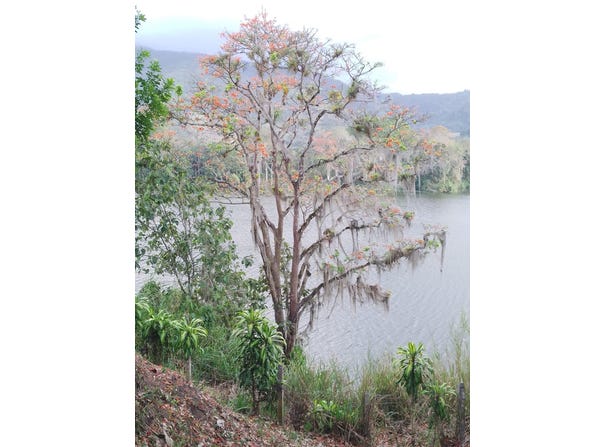Santiago District, Paraíso, Cartago Province