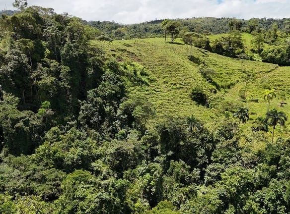 TERRENO EN MIRAFLORES, PEREZ ZELEDON, COSTA RICA: Mountain Home Construction Site For Sale in General Viejo, General Viejo, San José