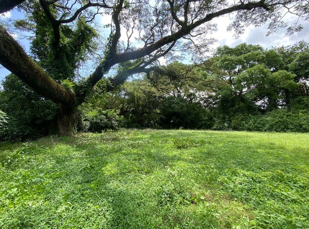XQ93+72X, C. el Bajo, Provincia de Alajuela, Guácima, Guacima Arriba, Costa Rica, Guácima, Alajuela Province
