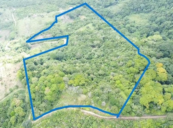 Miramar , Piedras Blancas, Osa, Puntarenas, Osa, Puntarenas