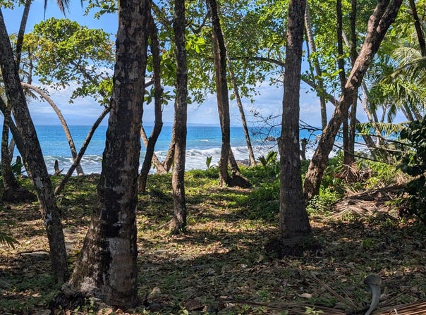 Golfito>Pavones, Pavones, Puntarenas, Pavones, Puntarenas