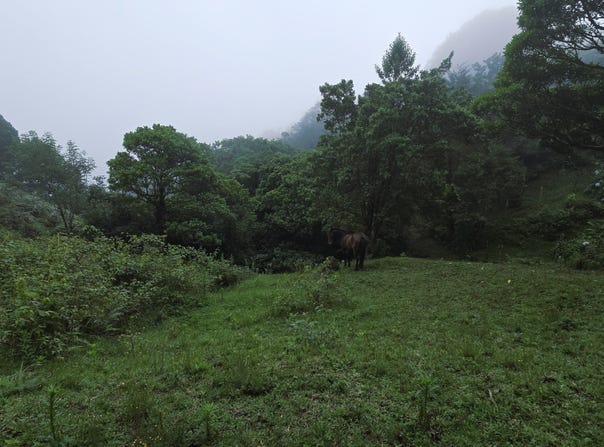 Cartago, Guarco, Vara del Roble, El Guarco, Cartago, El Guarco, Cartago