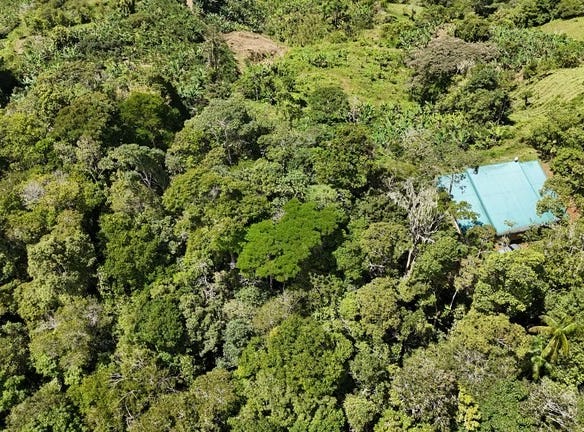 Lote en venta ubicado en Tirra de Rivas, Costa Rica.: Mountain Home Construction Site For Sale in San Isidro del General, San Isidro del General, San José