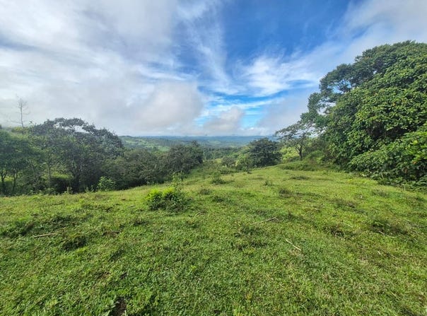 Propiedad en San Blas: Mountain Agricultural Land For Sale in La Linda General Viejo, La Linda General Viejo, San José