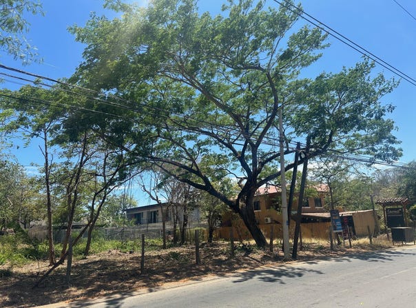 85W5+88P, Provincia de Guanacaste, Matapalo, Costa Rica, Cabo Velas, Guanacaste Province