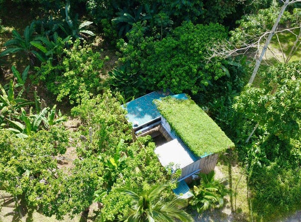 Calle Suarez, Cahuita., Talamanca, Limon, Talamanca, Limon