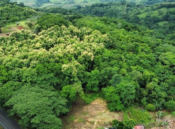 Ceiba s/n, Hojancha, Hojancha, Guanacaste, Hojancha, Guanacaste 51101