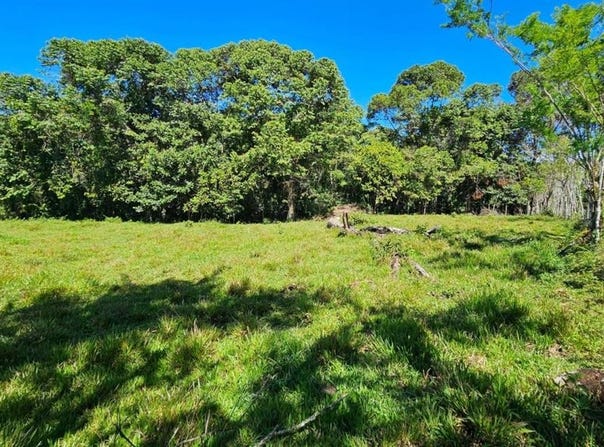 Permaculture Lot 1 , San Isidro del General, Perez Zeledon, San Jose, Perez Zeledon, San Jose 11902
