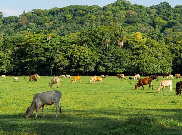 160, Santa Cruz, Guanacaste Province