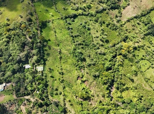 FINCA EN MIRAFLORES: Mountain Agricultural Land For Sale in El General, El General, San José