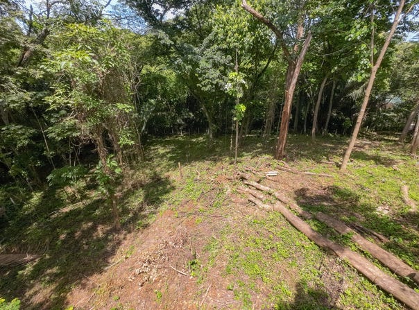X85J+P9G, Guanacaste Province, Nosara, Costa Rica, Nosara, Guanacaste Province