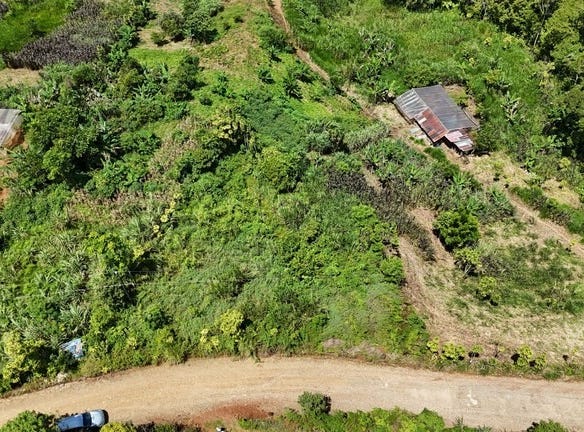 LOTE EN RIVAS: Mountain Agricultural Land For Sale in San Isidro del General, San Isidro del General, San José