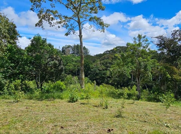 Platanares, Mollejones, San José Province